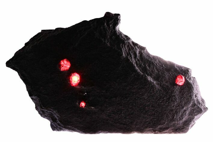 Plate of Three Red Embers Garnets in Graphite - Massachusetts #375781